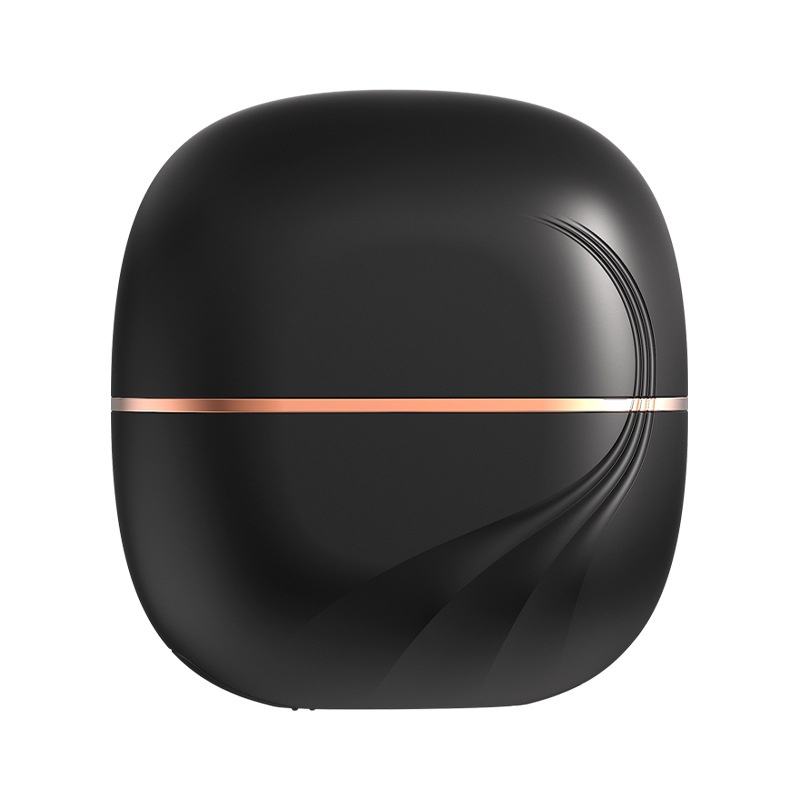 Aveenor Mini Straightening Brush